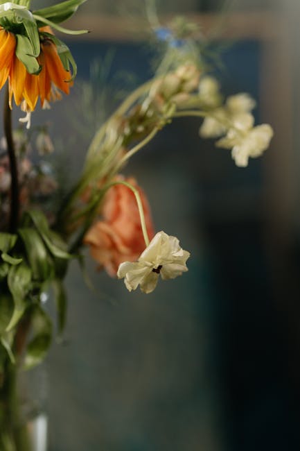 What to do with Wilting Flowers from Chelsea Events